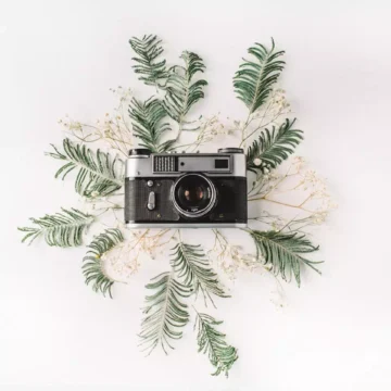 可爱妹妹的高清大图