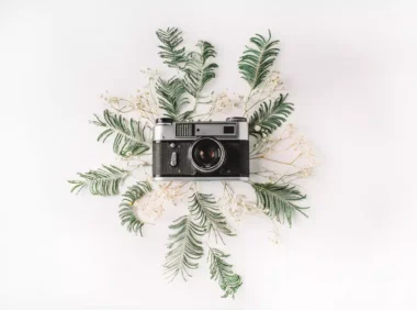 Termius for Windows使用教程