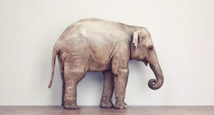 房子和我们的生活