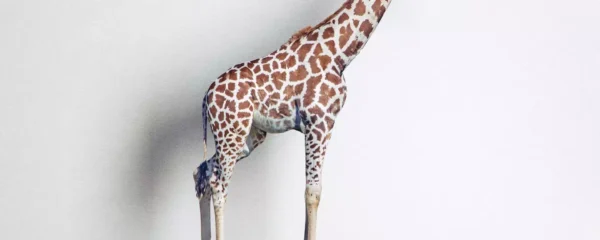 这个人有好奇心