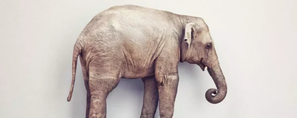 房子和我们的生活